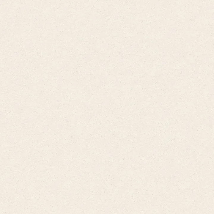Anderson Tuftex Perfect Choice — French White · ZZ064-00221 — flooring selection with LeviArs Design & Remodeling