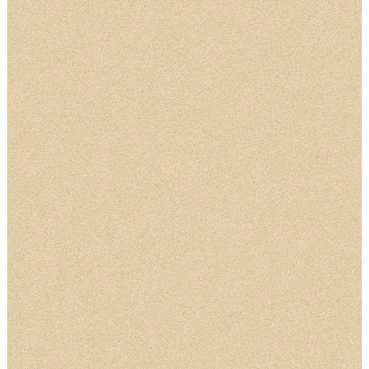 Anderson Tuftex Perfect Choice — Golden · ZZ064-00224 — flooring selection with LeviArs Design & Remodeling