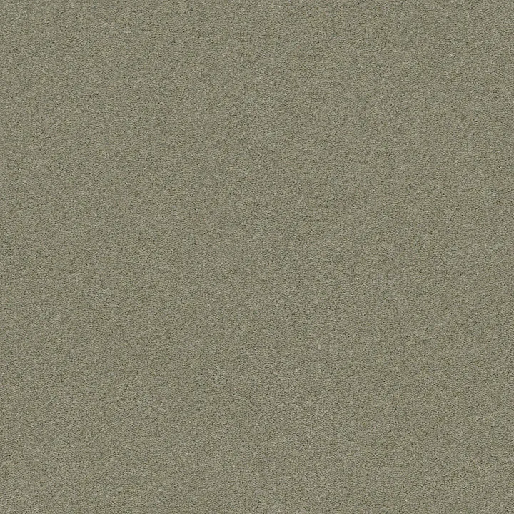 Anderson Tuftex Perfect Choice — Hazy Skies · ZZ064-00535 — flooring selection with LeviArs Design & Remodeling