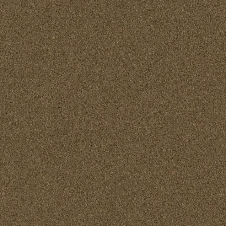 Anderson Tuftex Perfect Choice — Hearth · ZZ064-00738 — flooring selection with LeviArs Design & Remodeling