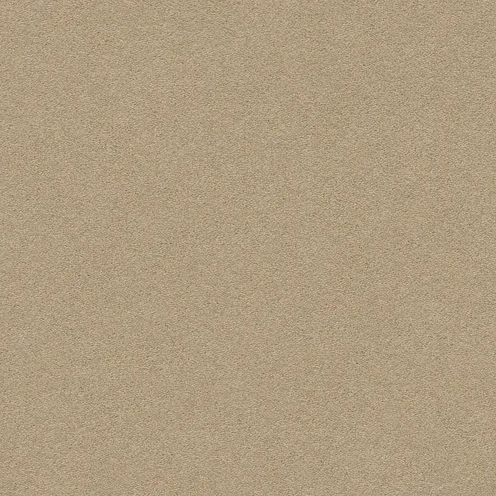 Anderson Tuftex Perfect Choice — Hiking Trail · ZZ064-00734 — flooring selection with LeviArs Design & Remodeling