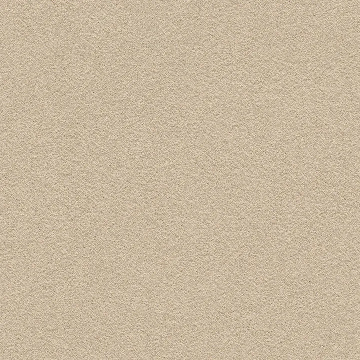 Anderson Tuftex Perfect Choice — Meditation · ZZ064-00712 — flooring selection with LeviArs Design & Remodeling