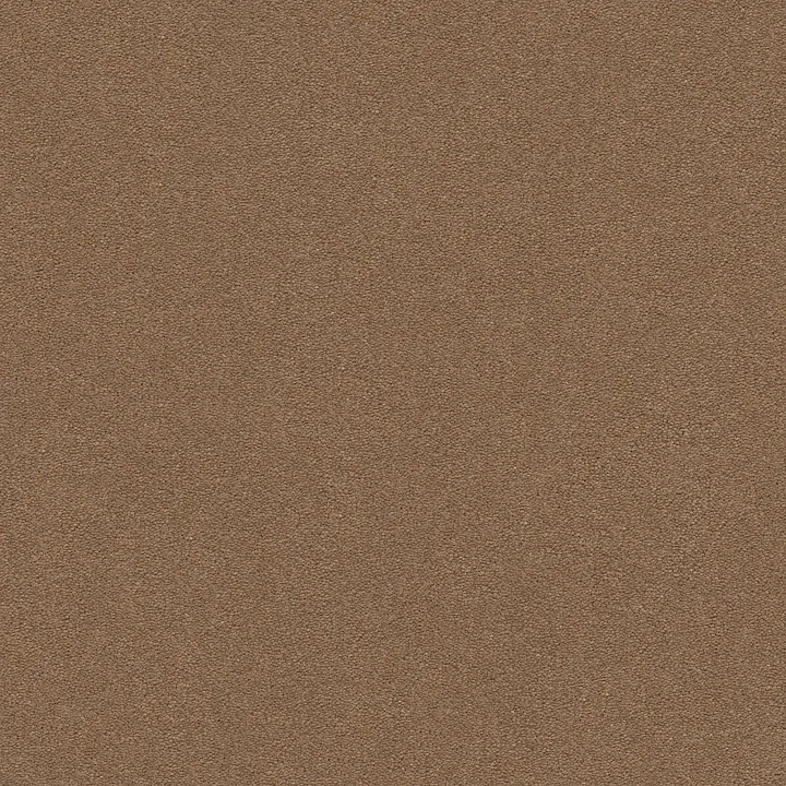 Anderson Tuftex Perfect Choice — Mystic Brown · ZZ064-00775 — flooring selection with LeviArs Design & Remodeling