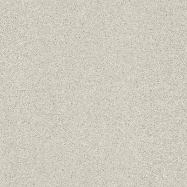 Anderson Tuftex Perfect Choice — Platinum · ZZ064-00552 — flooring selection with LeviArs Design & Remodeling