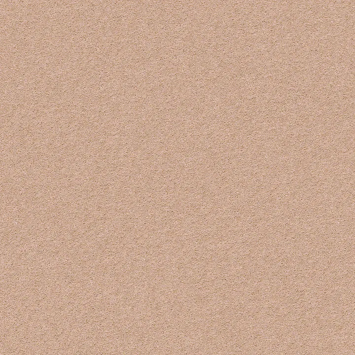 Anderson Tuftex Perfect Choice — Rose Cider · ZZ064-00654 — flooring selection with LeviArs Design & Remodeling