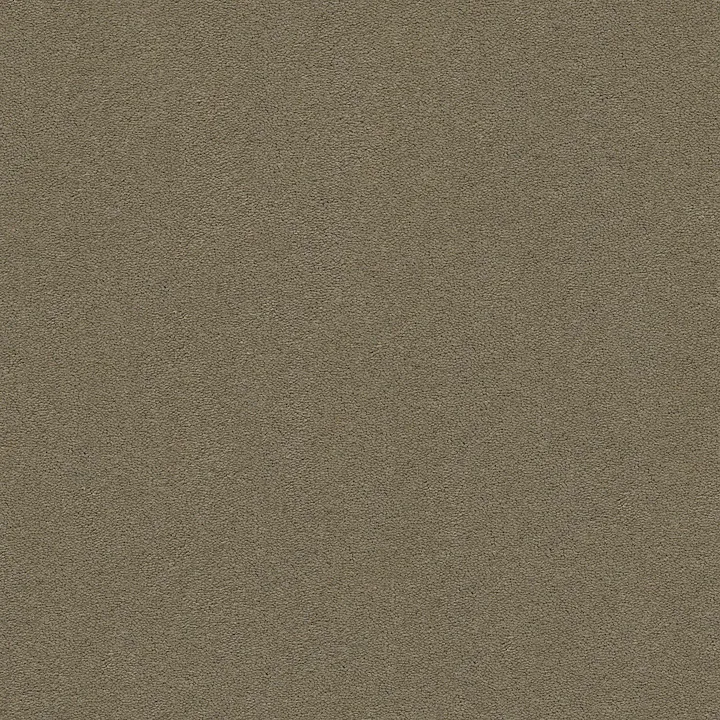 Anderson Tuftex Perfect Choice — Sleek Suede · ZZ064-00757 — flooring selection with LeviArs Design & Remodeling