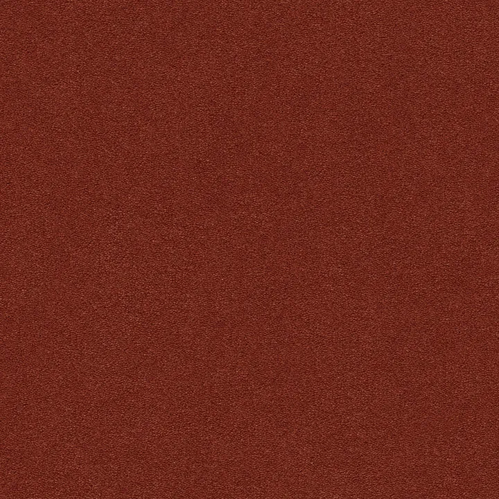 Anderson Tuftex Perfect Choice — Southwest · ZZ064-00686 — flooring selection with LeviArs Design & Remodeling