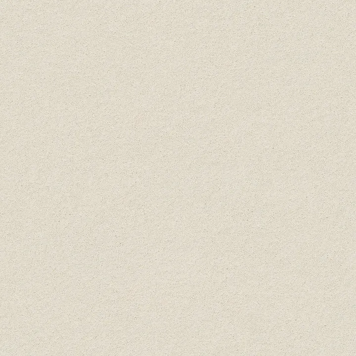 Anderson Tuftex Perfect Choice — Sprig · ZZ064-00351 — flooring selection with LeviArs Design & Remodeling