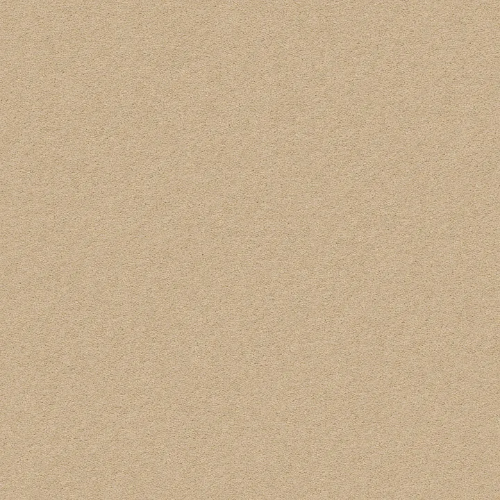 Anderson Tuftex Perfect Choice — Sugar Cookie · ZZ064-00173 — flooring selection with LeviArs Design & Remodeling