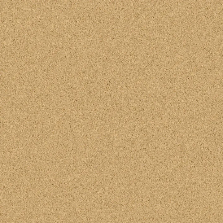 Anderson Tuftex Perfect Choice — Tawny Bisque · ZZ064-00225 — flooring selection with LeviArs Design & Remodeling