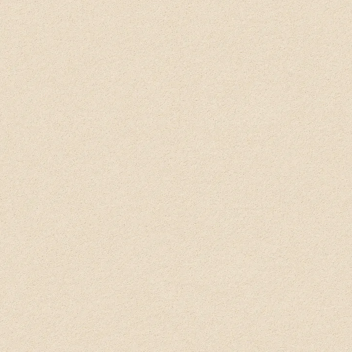 Anderson Tuftex Perfect Choice — Windswept · ZZ064-00222 — flooring selection with LeviArs Design & Remodeling