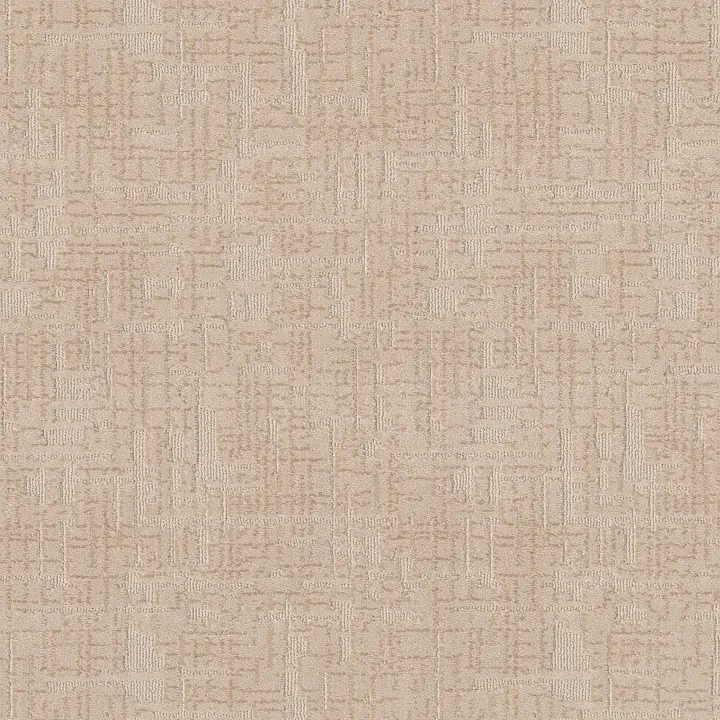 Anderson Tuftex Private Retreat — Cashmere · ZZ229-00173 — flooring selection with LeviArs Design & Remodeling