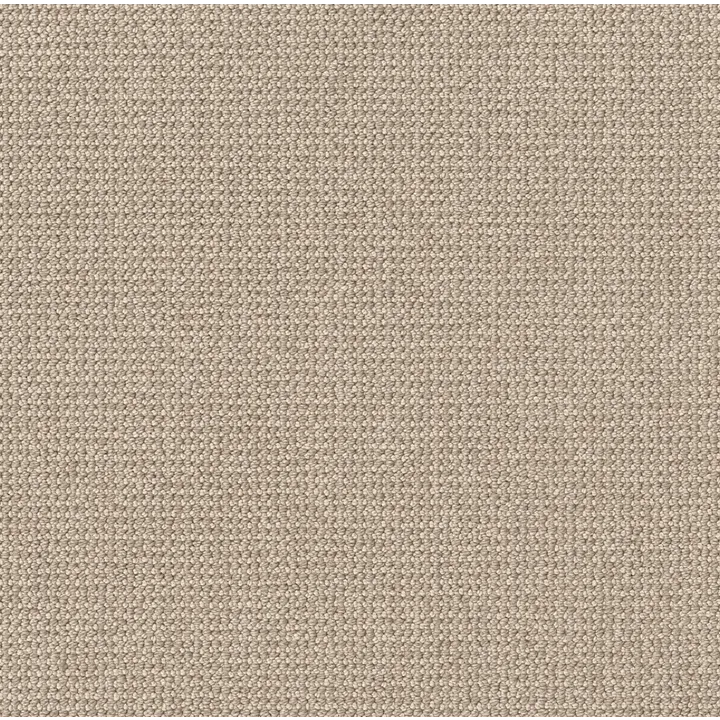 Anderson Tuftex Purrfection — Champagne · ZZ097-00114 — flooring selection with LeviArs Design & Remodeling