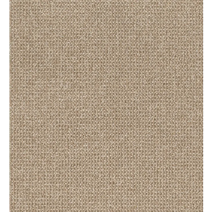 Anderson Tuftex Purrfection — Great Plains · ZZ097-00125 — flooring selection with LeviArs Design & Remodeling