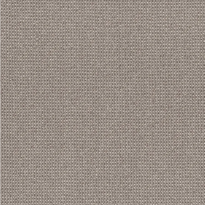 Anderson Tuftex Purrfection — Metropolis · ZZ097-00755 — flooring selection with LeviArs Design & Remodeling