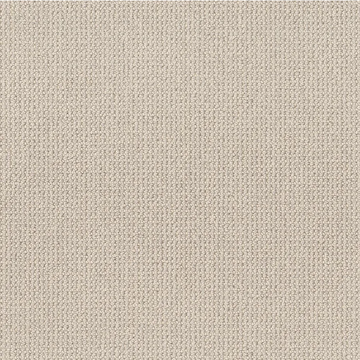 Anderson Tuftex Purrfection — Mocha Cream · ZZ097-00151 — flooring selection with LeviArs Design & Remodeling