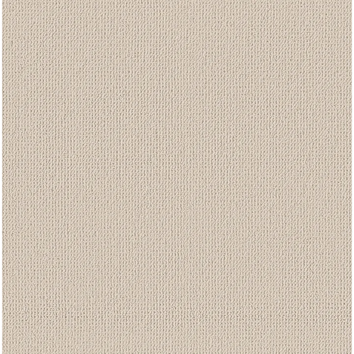 Anderson Tuftex Purrfection — Olympic · ZZ097-00111 — flooring selection with LeviArs Design & Remodeling