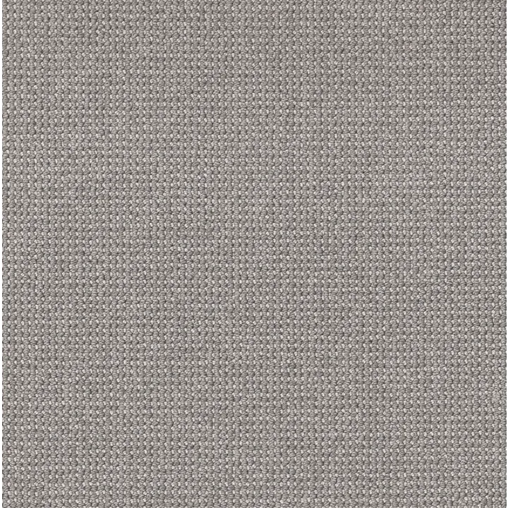 Anderson Tuftex Purrfection — Platinum · ZZ097-00555 — flooring selection with LeviArs Design & Remodeling