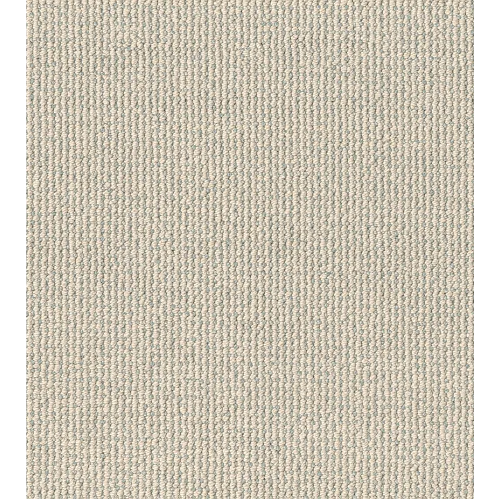 Anderson Tuftex Purrfection — Polar Sky · ZZ097-00143 — flooring selection with LeviArs Design & Remodeling
