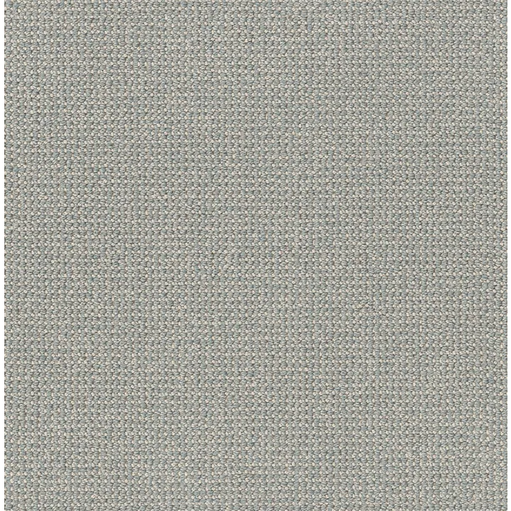 Anderson Tuftex Purrfection — Solitude · ZZ097-00415 — flooring selection with LeviArs Design & Remodeling