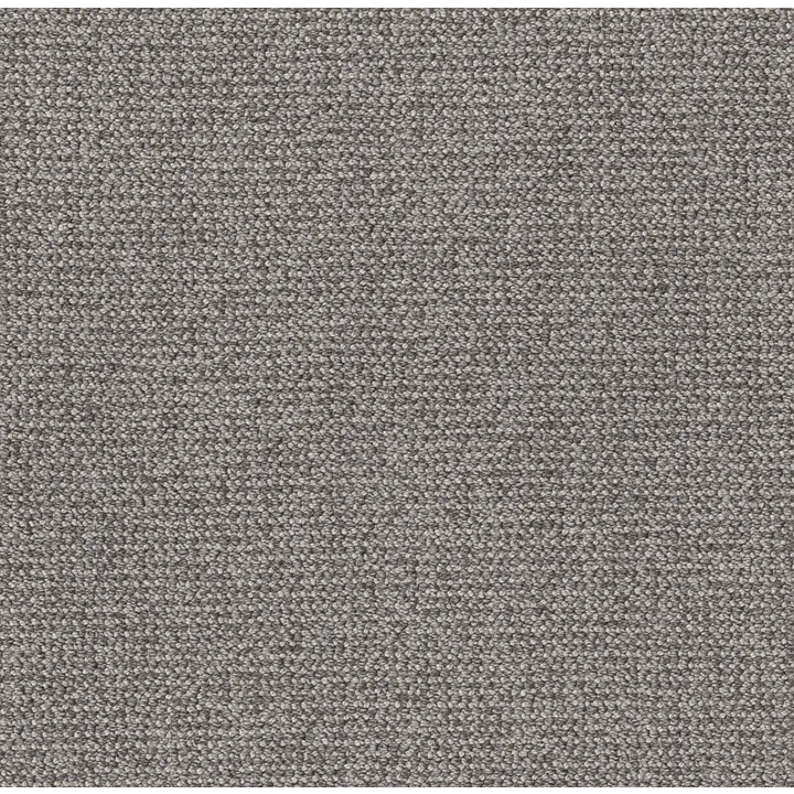 Anderson Tuftex Purrfection — Willow · ZZ097-00558 — flooring selection with LeviArs Design & Remodeling