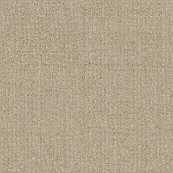 Anderson Tuftex Purrsuasion — Blonde · ZZ082-00211 — flooring selection with LeviArs Design & Remodeling