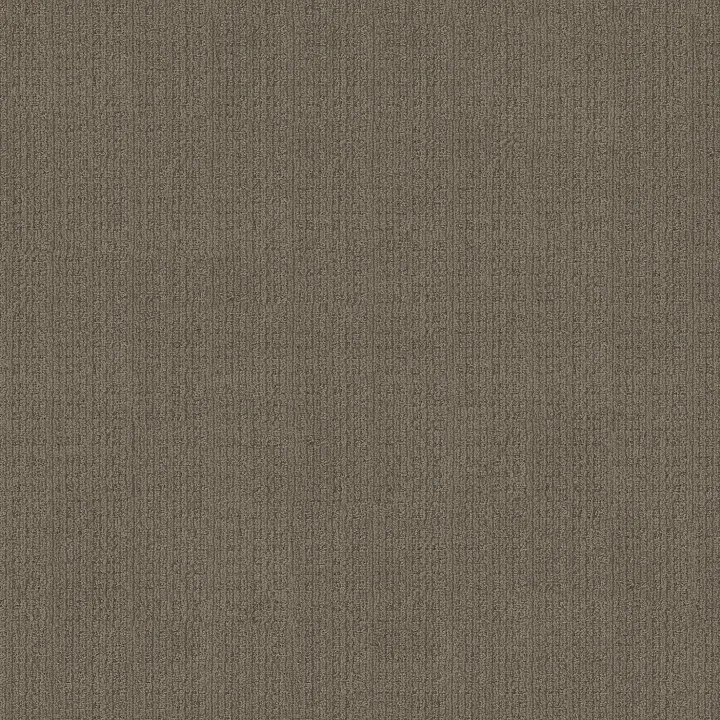 Anderson Tuftex Purrsuasion — Craftsman · ZZ082-00776 — flooring selection with LeviArs Design & Remodeling