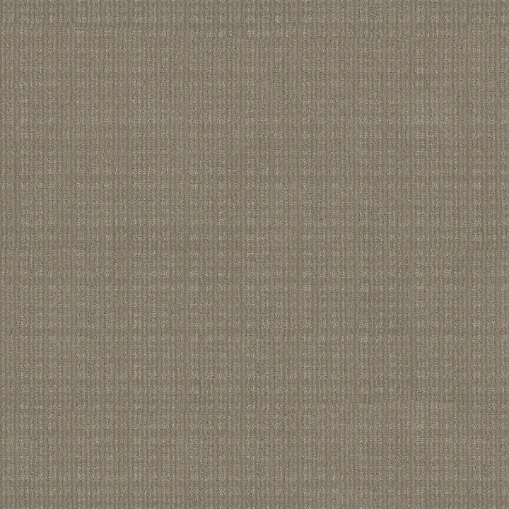 Anderson Tuftex Purrsuasion — Favorite Tan · ZZ082-00272 — flooring selection with LeviArs Design & Remodeling