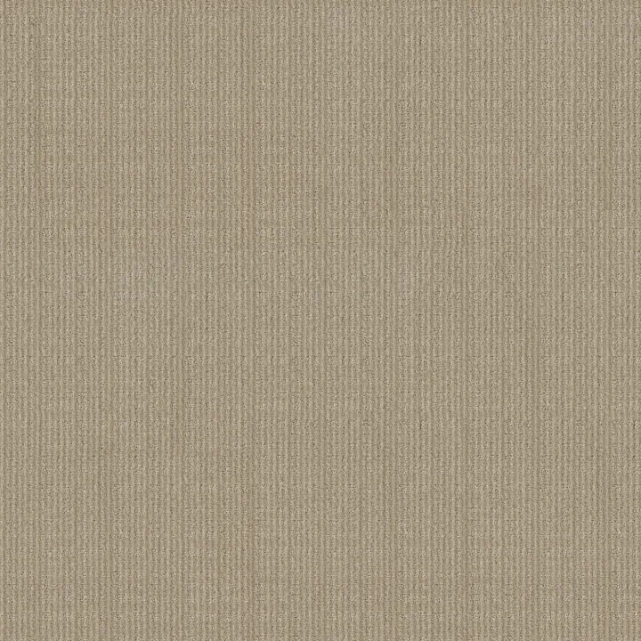 Anderson Tuftex Purrsuasion — Simply Beige · ZZ082-00222 — flooring selection with LeviArs Design & Remodeling
