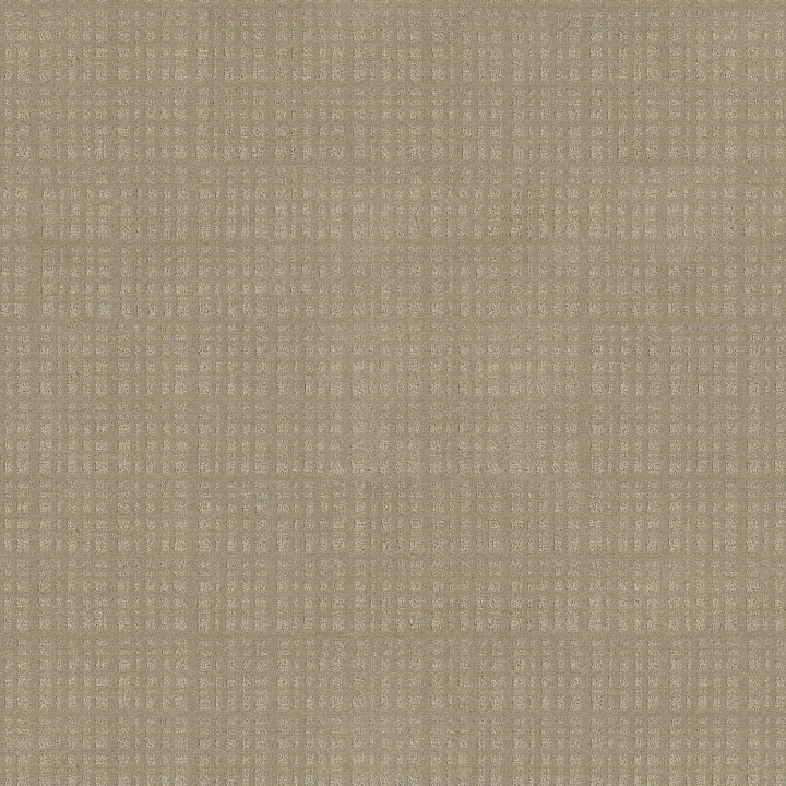 Anderson Tuftex Purrsuasion — Sunrise · ZZ082-00253 — flooring selection with LeviArs Design & Remodeling