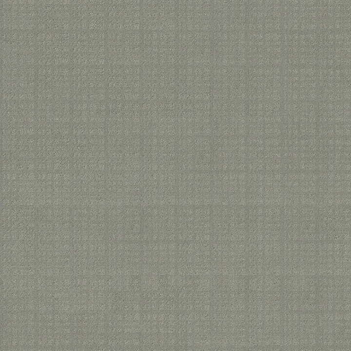 Anderson Tuftex Purrsuasion — Tide Pool · ZZ082-00412 — flooring selection with LeviArs Design & Remodeling