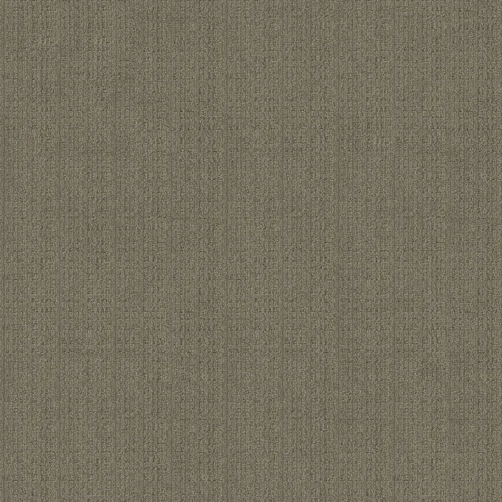 Anderson Tuftex Purrsuasion — Urban Jungle · ZZ082-00355 — flooring selection with LeviArs Design & Remodeling