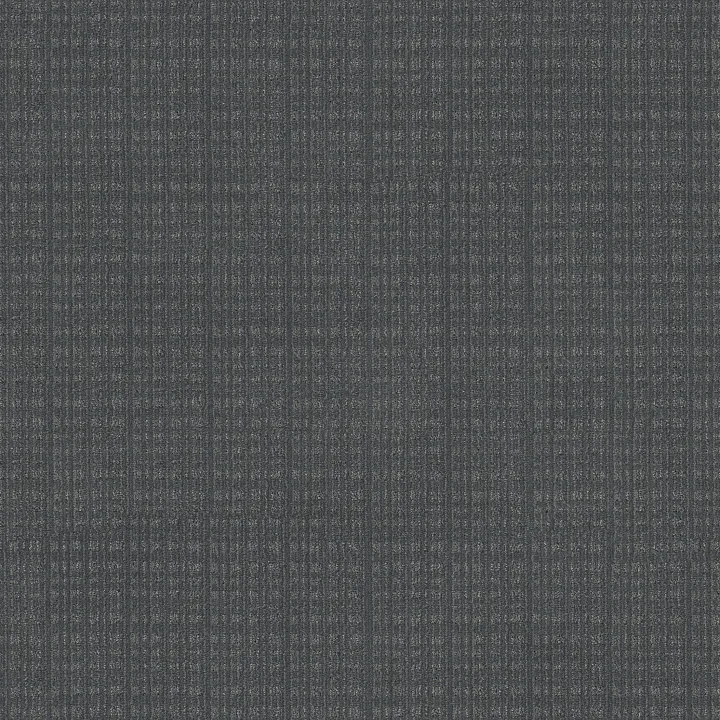 Anderson Tuftex Purrsuasion — Waterloo · ZZ082-00458 — flooring selection with LeviArs Design & Remodeling