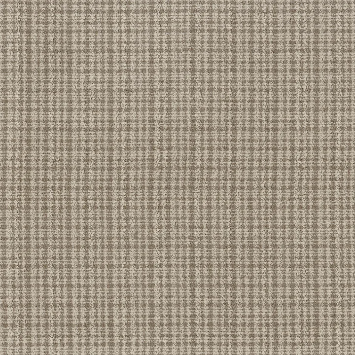 Anderson Tuftex Radiance — Barn Owl · ZZ393-00105 — flooring selection with LeviArs Design & Remodeling
