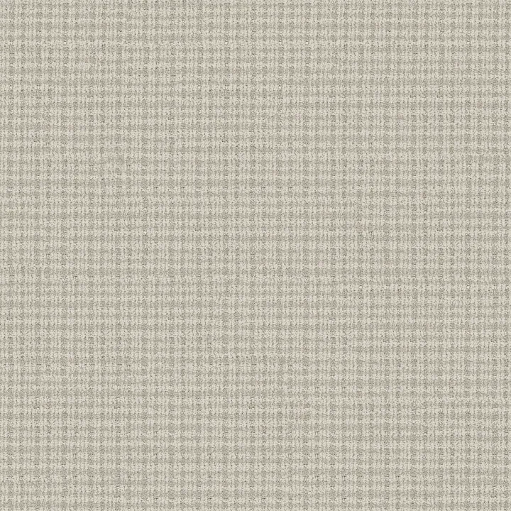 Anderson Tuftex Radiance — Dove · ZZ393-00100 — flooring selection with LeviArs Design & Remodeling