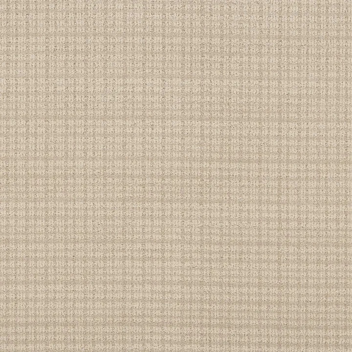 Anderson Tuftex Radiance — Ecru · ZZ393-00103 — flooring selection with LeviArs Design & Remodeling