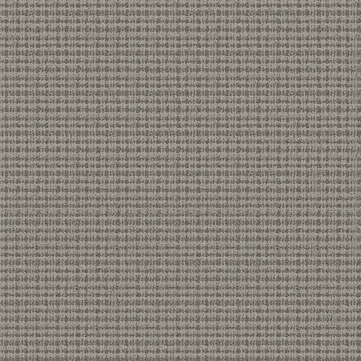 Anderson Tuftex Radiance — Graphite · ZZ393-00500 — flooring selection with LeviArs Design & Remodeling
