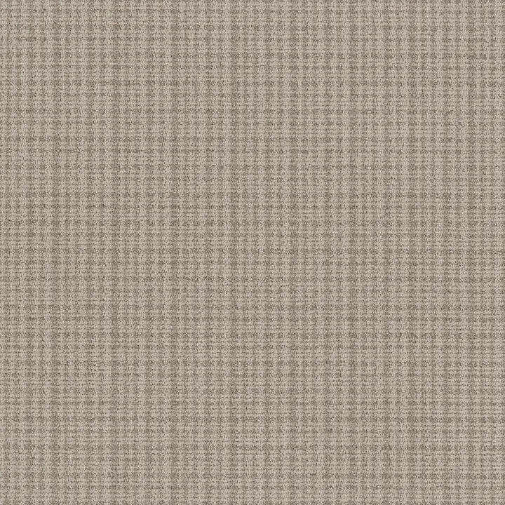 Anderson Tuftex Radiance — Mushroom · ZZ393-00106 — flooring selection with LeviArs Design & Remodeling