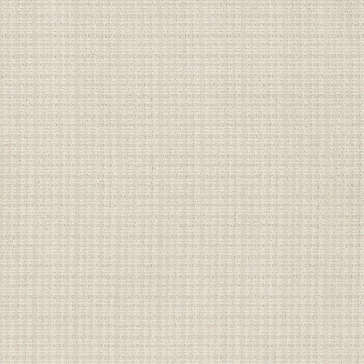 Anderson Tuftex Radiance — Oat Milk · ZZ393-00101 — flooring selection with LeviArs Design & Remodeling