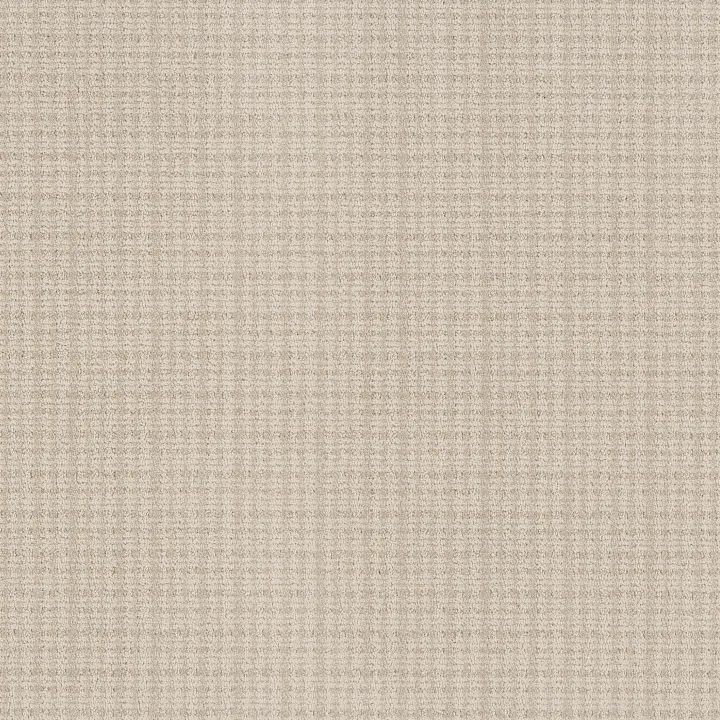 Anderson Tuftex Radiance — Parchment · ZZ393-00102 — flooring selection with LeviArs Design & Remodeling
