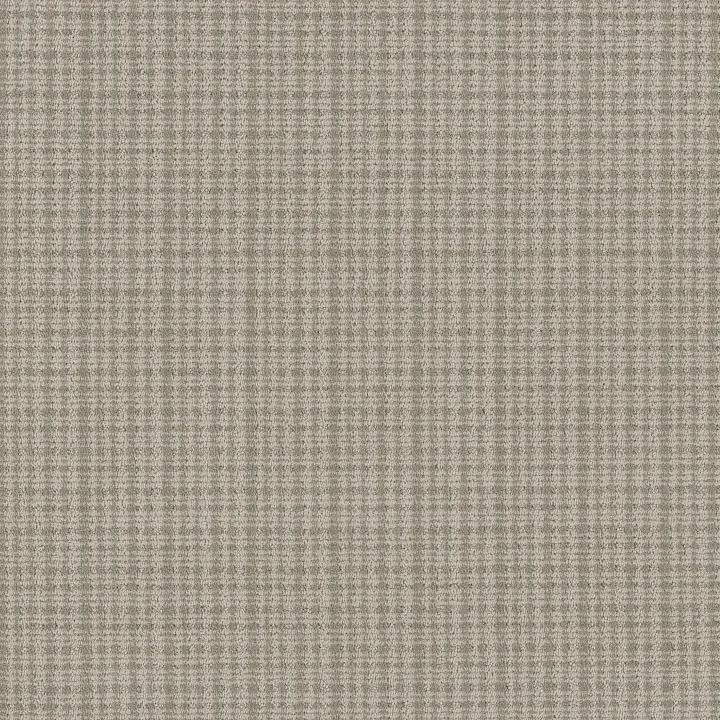 Anderson Tuftex Radiance — Sagebrush · ZZ393-00300 — flooring selection with LeviArs Design & Remodeling