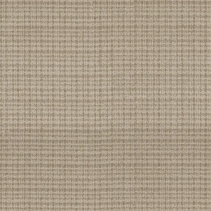 Anderson Tuftex Radiance — Soft Tan · ZZ393-00108 — flooring selection with LeviArs Design & Remodeling