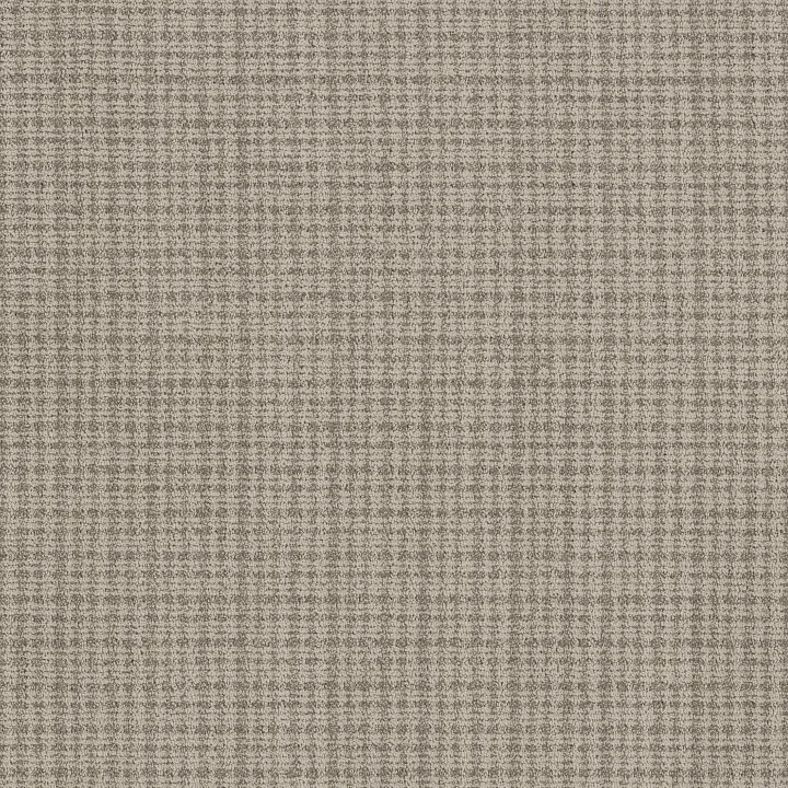 Anderson Tuftex Radiance — Taupe Haze · ZZ393-00107 — flooring selection with LeviArs Design & Remodeling