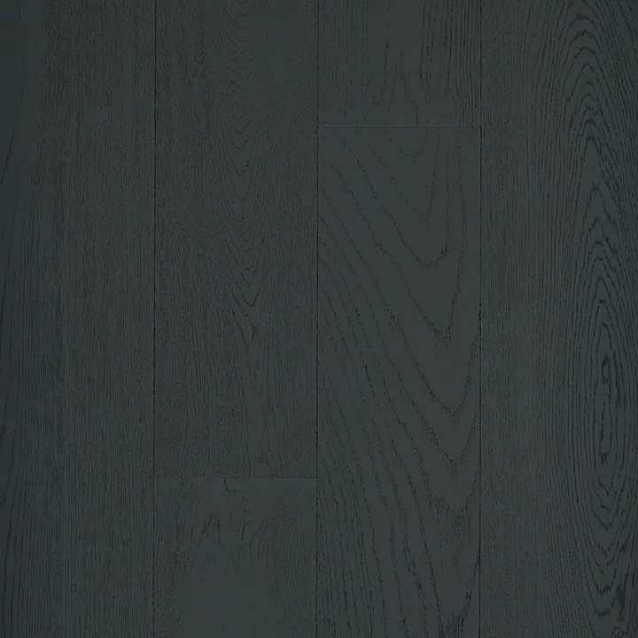 Anderson Tuftex Ravenwood — Onyx · AA825-19014 — flooring selection with LeviArs Design & Remodeling