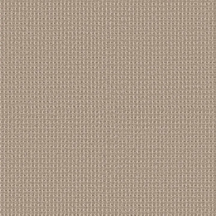 Anderson Tuftex Rhode — Burlap · ZZ366-00114 — flooring selection with LeviArs Design & Remodeling