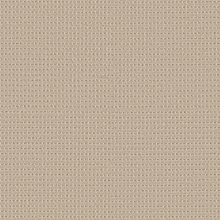 Anderson Tuftex Rhode — Cashmere · ZZ366-00121 — flooring selection with LeviArs Design & Remodeling