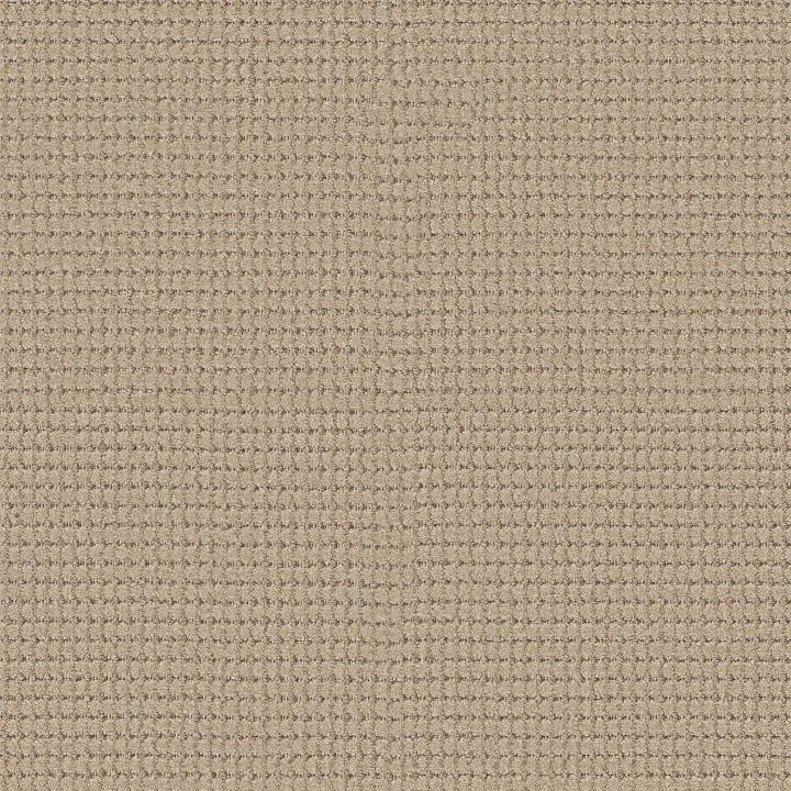 Anderson Tuftex Rhode — Cork · ZZ366-00125 — flooring selection with LeviArs Design & Remodeling