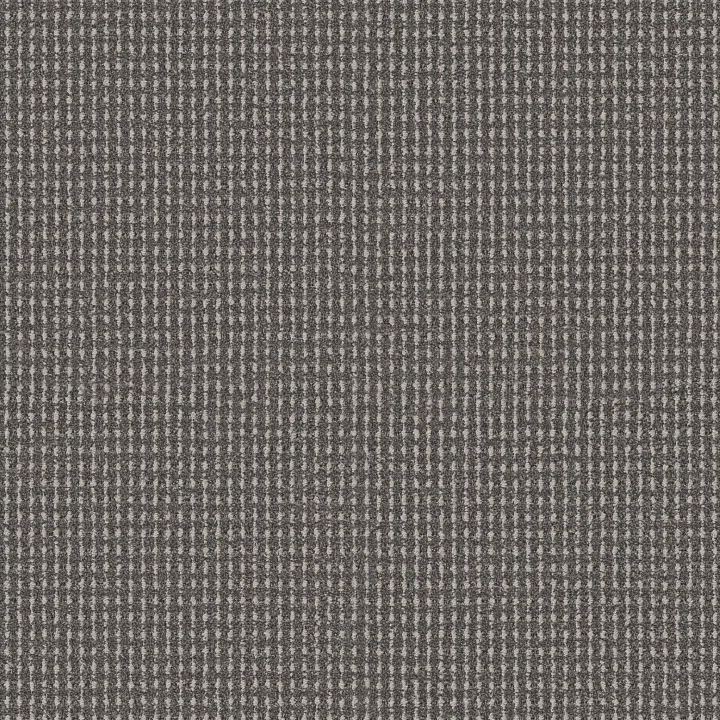 Anderson Tuftex Rhode — Deer Path · ZZ366-00558 — flooring selection with LeviArs Design & Remodeling