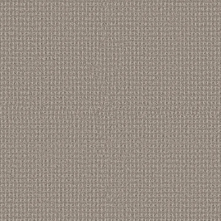 Anderson Tuftex Rhode — Fish Hook · ZZ366-00553 — flooring selection with LeviArs Design & Remodeling