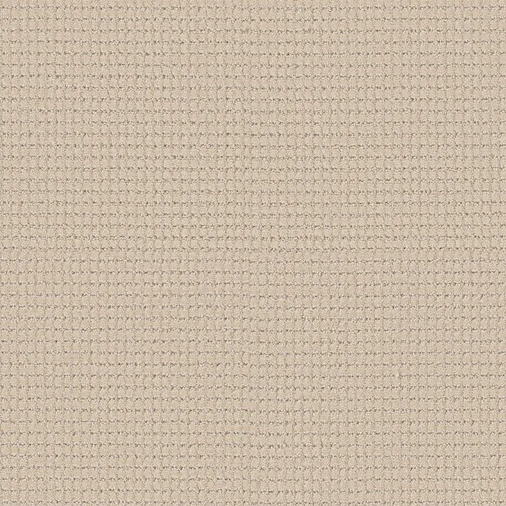Anderson Tuftex Rhode — French Buff · ZZ366-00120 — flooring selection with LeviArs Design & Remodeling